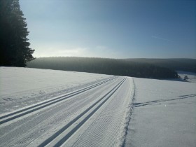 Ski-Langlauf